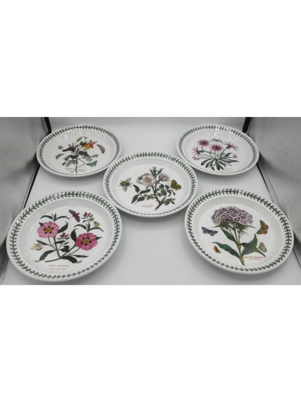 Portmeirion Botanic Garden 8-1/2 inch Salad Plates Set of 5 Assorted Flowers